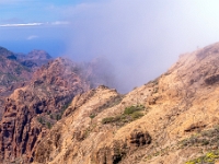 W drodze do Roque Nublo